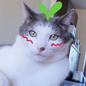 Meet your Posher, Iva